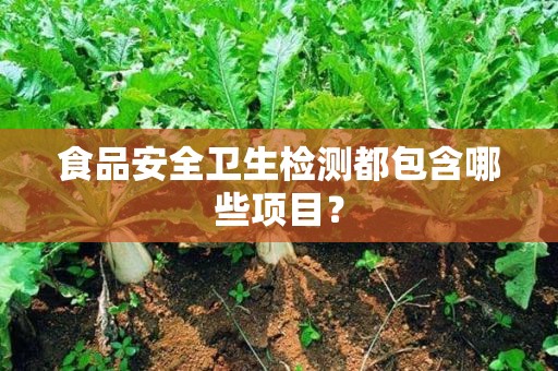 食品安全檢測(cè)哪些項(xiàng)目m.r8505.cn